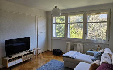 Apartment 2.5 rooms - image - 3