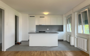 Appartement 4.5 pièces - image - 3