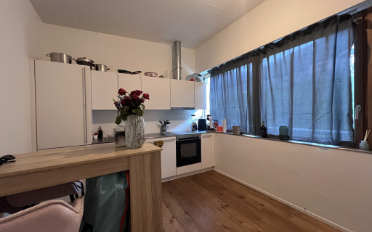 Apartment 1.5 rooms - image - 1