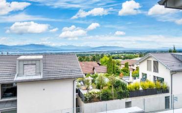 Villa 10 Zimmer - image - 11