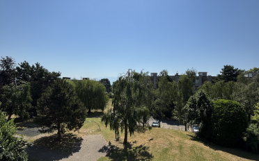 Wohnung 3.5 Zimmer - image - 1