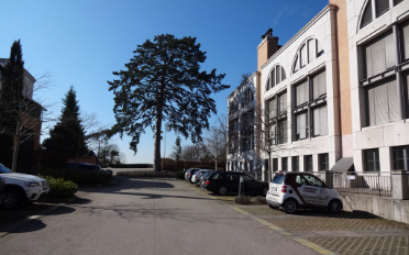 offener Parkplatz - image - 2