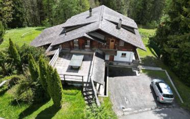 Chalet 15 rooms - image - 2