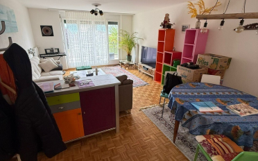 Wohnung 2.5 Zimmer - image - 1