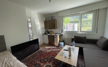 Apartment 1 room - image - 2