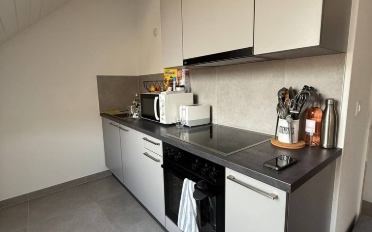 Wohnung ein Zimmer - image - 4