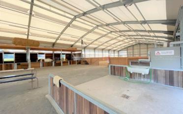 Riding hall - image - 9