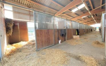 Riding hall - image - 12
