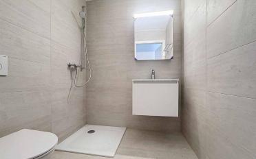 Attic flat 5.5 rooms - image - 7