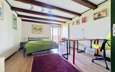 Maison contiguë 6.5 pièces - image - 8