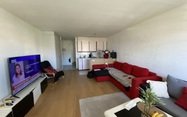 Apartment 1 room - image - 4