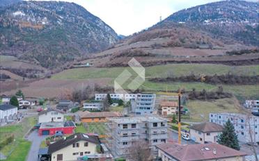 Wohnung 3.5 Zimmer - image - 1