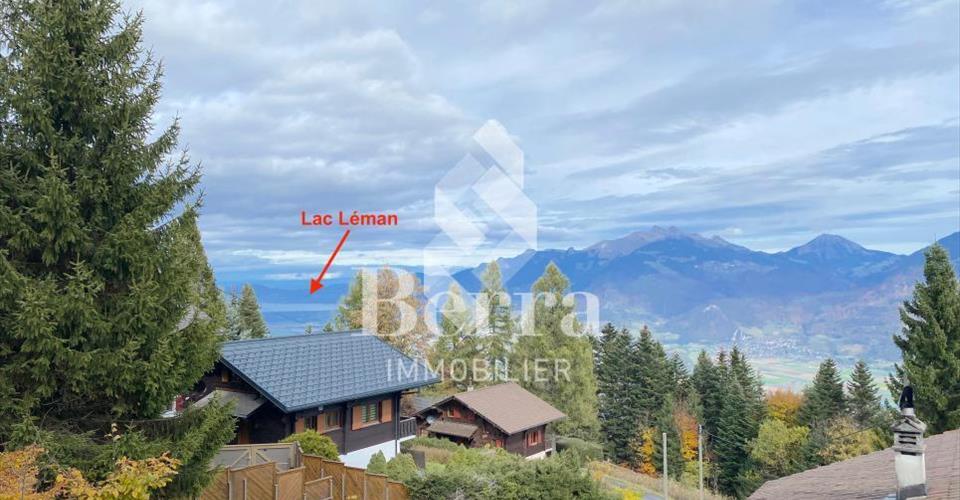 Superbe chalet rénové avec studio indépendant et vue panoramique sur le Lac Léman