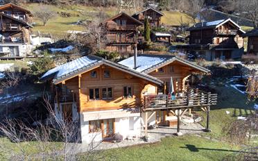Chalet 4 rooms - image - 2