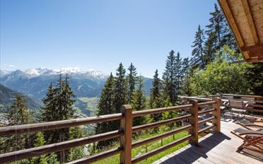Chalet 4 Zimmer - image - 12