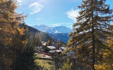 Chalet 6 rooms - image - 6