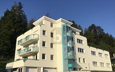 Office 3 rooms - image - 1