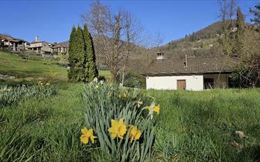 Single house 3.5 rooms - image - 1