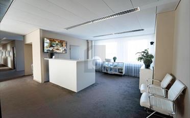 Office 10 rooms - image - 1