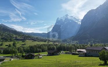 Einfamilienhaus 7.5 Zimmer - image - 1