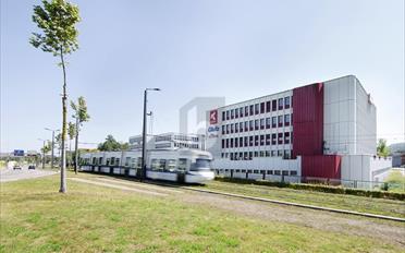 Büro 2.5 Zimmer - image - 1