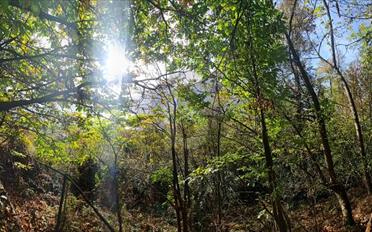 Terrain à bâtir - image - 1