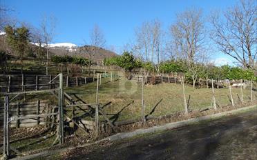 Terrain agricole - image - 1