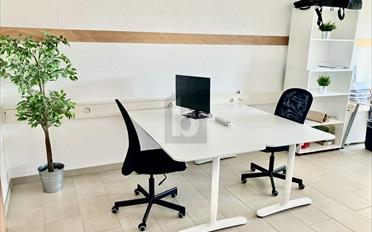 Büro 5.5 Zimmer - image - 1