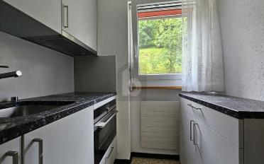 Wohnung ein Zimmer - image - 2