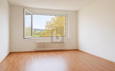 Dachwohnung 3.5 Zimmer - image - 5