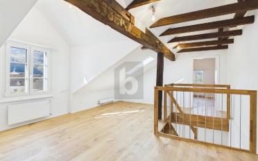 Duplex 5.5 rooms - image - 1