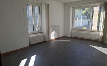 Büro 4 Zimmer - image - 2