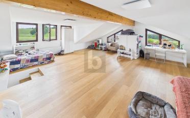 Single house 10.5 rooms - image - 4