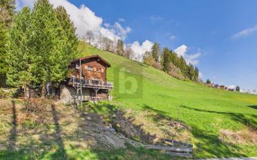 Chalet 4.5 pièces - image - 1
