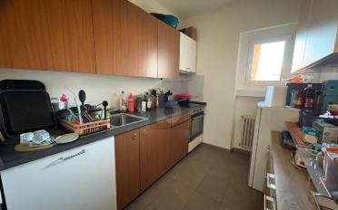 Maison 5.5 pièces - image - 4
