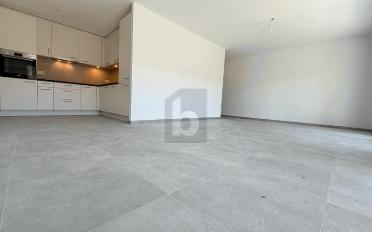 Wohnung 2.5 Zimmer - image - 1