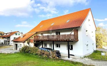 Bifamiliar house 11 rooms - image - 1