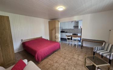 Appartement meublé 1.5 pièces - image - 4