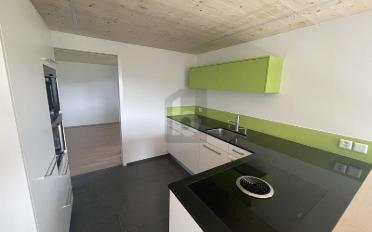 Duplex 5.5 rooms - image - 2