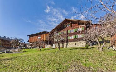 Chalet 10.5 pièces - image - 1