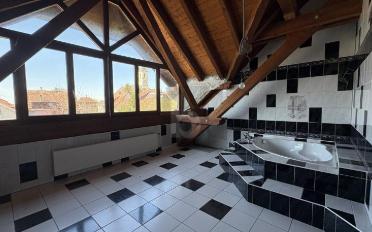 Single house 9.5 rooms - image - 3