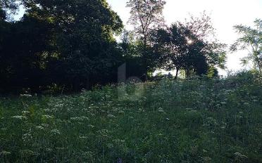 Bauland - image - 4