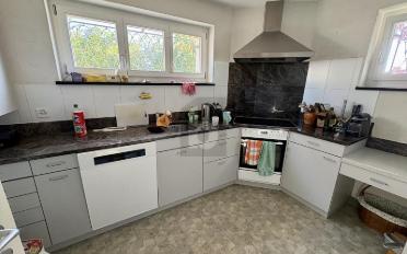 Single house 10.5 rooms - image - 4