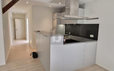 Dachwohnung 3.5 Zimmer - image - 1