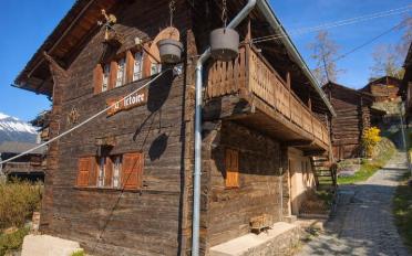 Einfamilienhaus 4.5 Zimmer - image - 3