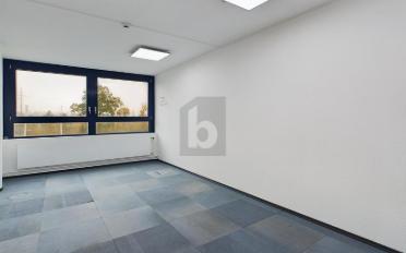 Shop 6 rooms - image - 2