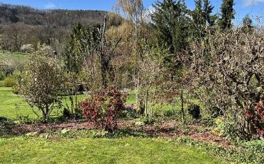 Einfamilienhaus 5.5 Zimmer - image - 5