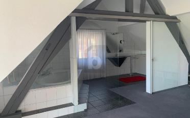 Duplex 5.5 pièces - image - 2