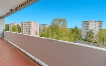 Wohnung 2.5 Zimmer - image - 1