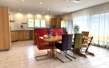 Doppeleinfamilienhaus 6.5 Zimmer - image - 1